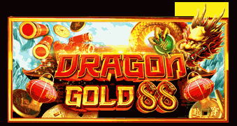 金龙88