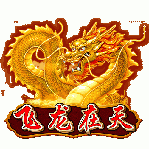 飞龙在天