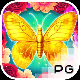 蝶恋花