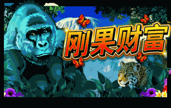 刚果财富™