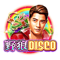 野狼DISCO